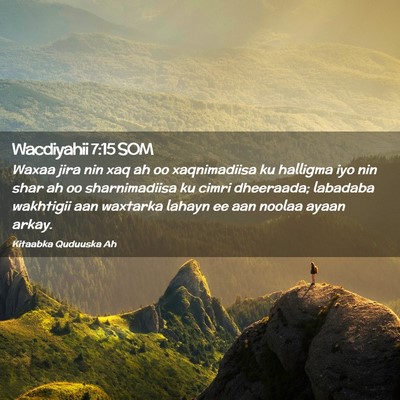 Picture 02 - Wacdiyahii 7:15 SOM - Waxaa jira nin xaq ah oo xaqnimadiisa ku halligma - Bible Verse Picture