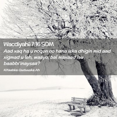 Picture 02 - Wacdiyahii 7:16 SOM - Aad xaq ha u noqon oo hana iska dhigin mid aad - Bible Verse Picture
