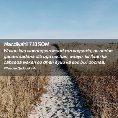 Picture 02 - Wacdiyahii 7:18 SOM - Waxaa kuu wanaagsan inaad tan xagsatid, oo aadan - Bible Verse Picture