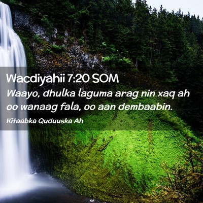 Picture 02 - Wacdiyahii 7:20 SOM - Waayo, dhulka laguma arag nin xaq ah oo wanaag - Bible Verse Picture