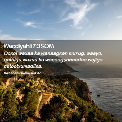 Picture 02 - Wacdiyahii 7:3 SOM - Qosol waxaa ka wanaagsan murug, waayo, qalbigu - Bible Verse Picture