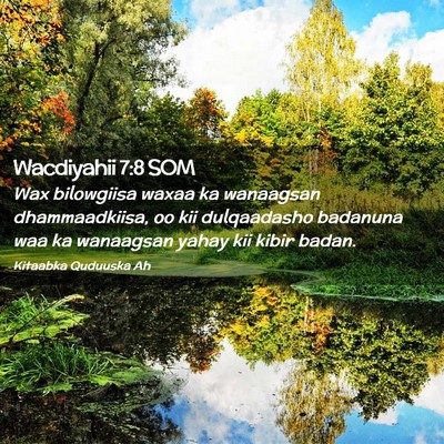 Picture 02 - Wacdiyahii 7:8 SOM - Wax bilowgiisa waxaa ka wanaagsan dhammaadkiisa, - Bible Verse Picture