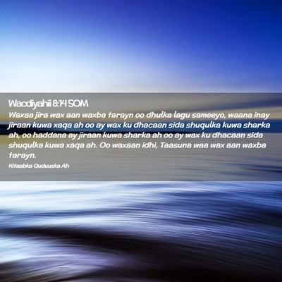 Picture 02 - Wacdiyahii 8:14 SOM - Waxaa jira wax aan waxba tarayn oo dhulka lagu - Bible Verse Picture