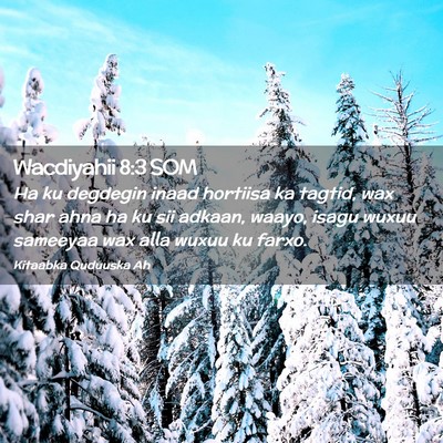 Picture 02 - Wacdiyahii 8:3 SOM - Ha ku degdegin inaad hortiisa ka tagtid, wax shar - Bible Verse Picture