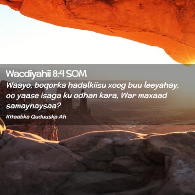 Picture 02 - Wacdiyahii 8:4 SOM - Waayo, boqorka hadalkiisu xoog buu leeyahay, oo - Bible Verse Picture
