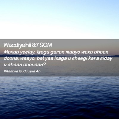 Picture 02 - Wacdiyahii 8:7 SOM - Maxaa yeelay, isagu garan maayo waxa ahaan doona, - Bible Verse Picture