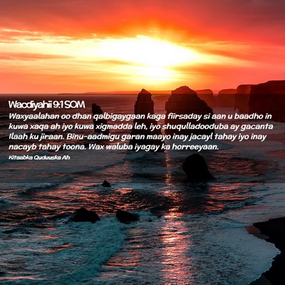 Picture 02 - Wacdiyahii 9:1 SOM - Waxyaalahan oo dhan qalbigaygaan kaga fiirsaday - Bible Verse Picture