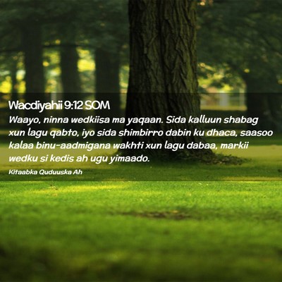 Picture 02 - Wacdiyahii 9:12 SOM - Waayo, ninna wedkiisa ma yaqaan. Sida kalluun - Bible Verse Picture