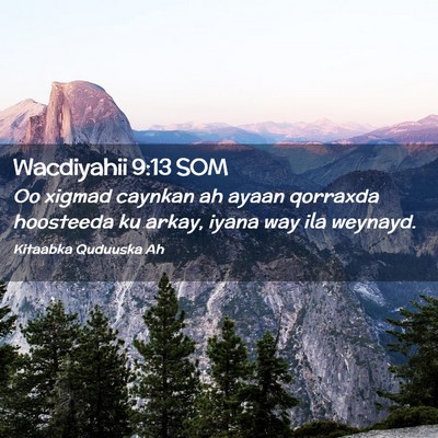 Picture 02 - Wacdiyahii 9:13 SOM - Oo xigmad caynkan ah ayaan qorraxda hoosteeda ku - Bible Verse Picture