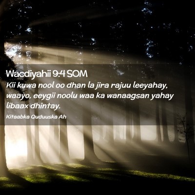 Picture 02 - Wacdiyahii 9:4 SOM - Kii kuwa nool oo dhan la jira rajuu leeyahay, - Bible Verse Picture