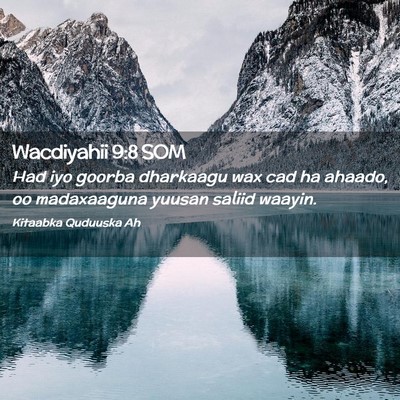 Picture 02 - Wacdiyahii 9:8 SOM - Had iyo goorba dharkaagu wax cad ha ahaado, oo - Bible Verse Picture