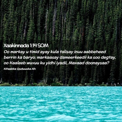Picture 02 - Xaakinnada 1:14 SOM - Oo markay u timid ayay kula talisay inuu - Bible Verse Picture