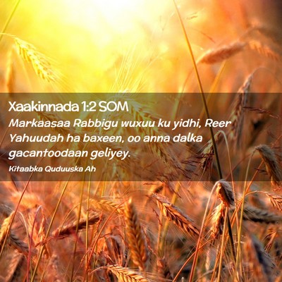 Picture 02 - Xaakinnada 1:2 SOM - Markaasaa Rabbigu wuxuu ku yidhi, Reer Yahuudah - Bible Verse Picture