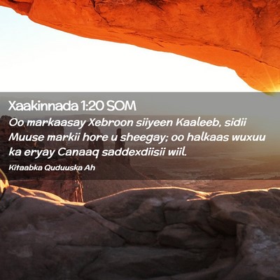 Picture 02 - Xaakinnada 1:20 SOM - Oo markaasay Xebroon siiyeen Kaaleeb, sidii Muuse - Bible Verse Picture
