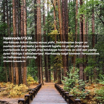 Picture 02 - Xaakinnada 1:7 SOM - Markaasaa Adonii Beseq wuxuu yidhi, Toddobaatan - Bible Verse Picture