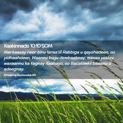 Picture 02 - Xaakinnada 10:10 SOM - Markaasay reer binu Israa'iil Rabbiga u - Bible Verse Picture