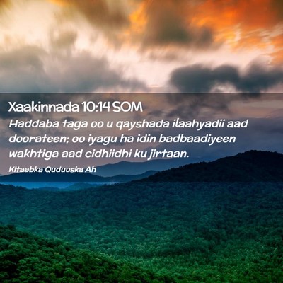 Picture 02 - Xaakinnada 10:14 SOM - Haddaba taga oo u qayshada ilaahyadii aad - Bible Verse Picture