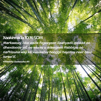 Picture 02 - Xaakinnada 10:16 SOM - Markaasay iska wada fogeeyeen ilaahyadii qalaad - Bible Verse Picture