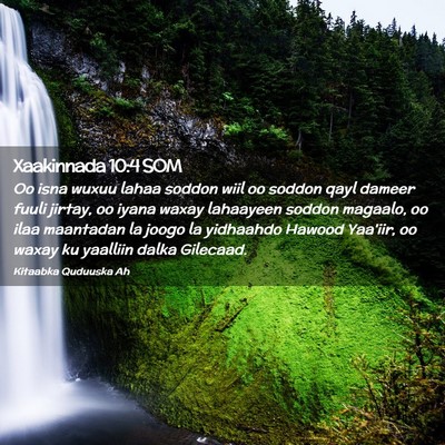 Picture 02 - Xaakinnada 10:4 SOM - Oo isna wuxuu lahaa soddon wiil oo soddon qayl - Bible Verse Picture