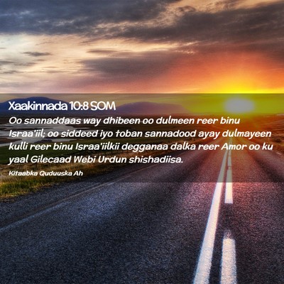 Picture 02 - Xaakinnada 10:8 SOM - Oo sannaddaas way dhibeen oo dulmeen reer binu - Bible Verse Picture