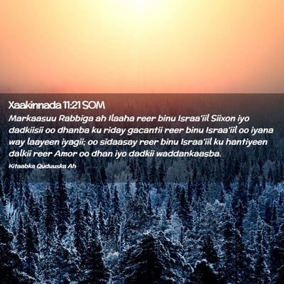 Picture 02 - Xaakinnada 11:21 SOM - Markaasuu Rabbiga ah Ilaaha reer binu Israa'iil - Bible Verse Picture