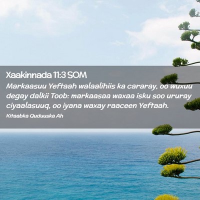 Picture 02 - Xaakinnada 11:3 SOM - Markaasuu Yeftaah walaalihiis ka cararay, oo - Bible Verse Picture