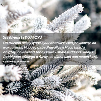 Picture 02 - Xaakinnada 11:35 SOM - Oo markuu arkay iyadii ayuu dharkiisii iska - Bible Verse Picture