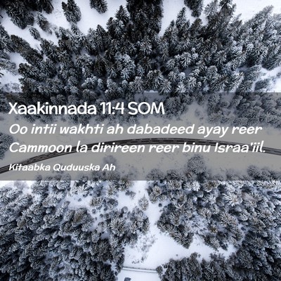 Picture 02 - Xaakinnada 11:4 SOM - Oo intii wakhti ah dabadeed ayay reer Cammoon la - Bible Verse Picture