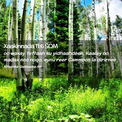 Picture 02 - Xaakinnada 11:6 SOM - oo waxay Yeftaah ku yidhaahdeen, Kaalay oo madax - Bible Verse Picture