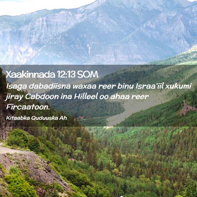 Picture 02 - Xaakinnada 12:13 SOM - Isaga dabadiisna waxaa reer binu Israa'iil xukumi - Bible Verse Picture