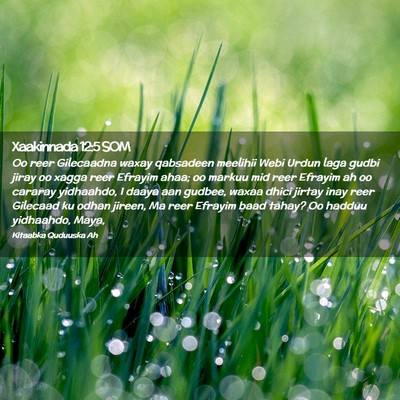 Picture 02 - Xaakinnada 12:5 SOM - Oo reer Gilecaadna waxay qabsadeen meelihii Webi - Bible Verse Picture