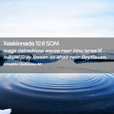 Picture 02 - Xaakinnada 12:8 SOM - Isaga dabadiisna waxaa reer binu Israa'iil xukumi - Bible Verse Picture