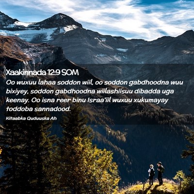 Picture 02 - Xaakinnada 12:9 SOM - Oo wuxuu lahaa soddon wiil, oo soddon gabdhoodna - Bible Verse Picture