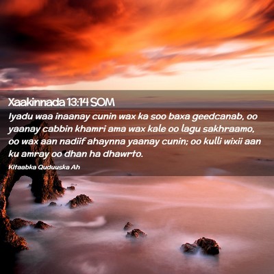 Picture 02 - Xaakinnada 13:14 SOM - Iyadu waa inaanay cunin wax ka soo baxa - Bible Verse Picture