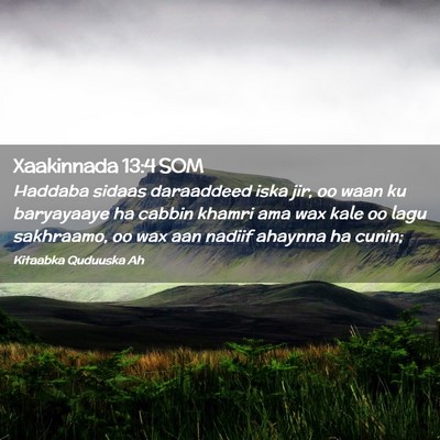 Picture 02 - Xaakinnada 13:4 SOM - Haddaba sidaas daraaddeed iska jir, oo waan ku - Bible Verse Picture