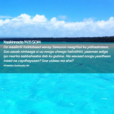 Picture 02 - Xaakinnada 14:15 SOM - Oo maalintii toddobaad waxay Samsoon naagtiisii - Bible Verse Picture