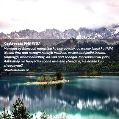 Picture 02 - Xaakinnada 14:16 SOM - Markaasay Samsoon naagtiisu ku hor ooyday, oo - Bible Verse Picture