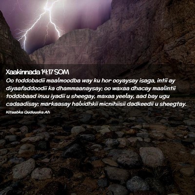 Picture 02 - Xaakinnada 14:17 SOM - Oo toddobadii maalmoodba way ku hor ooyaysay - Bible Verse Picture