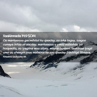 Picture 02 - Xaakinnada 14:9 SOM - Oo markaasuu gacmihiisii ku qaaday, oo iska - Bible Verse Picture