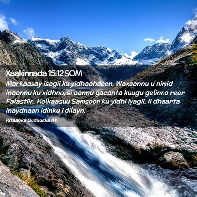 Picture 02 - Xaakinnada 15:12 SOM - Markaasay isagii ku yidhaahdeen, Waxaannu u nimid - Bible Verse Picture
