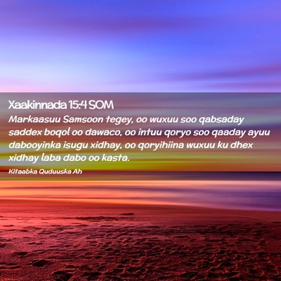 Picture 02 - Xaakinnada 15:4 SOM - Markaasuu Samsoon tegey, oo wuxuu soo qabsaday - Bible Verse Picture