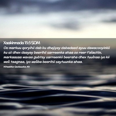 Picture 02 - Xaakinnada 15:5 SOM - Oo markuu qoryihii dab ku dhejiyey dabadeed ayuu - Bible Verse Picture