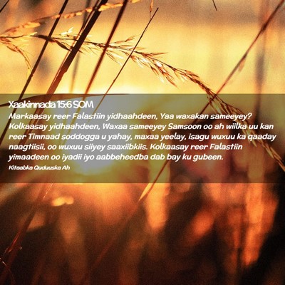 Picture 02 - Xaakinnada 15:6 SOM - Markaasay reer Falastiin yidhaahdeen, Yaa waxakan - Bible Verse Picture
