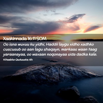 Picture 02 - Xaakinnada 16:11 SOM - Oo isna wuxuu ku yidhi, Haddii laygu xidho xadhko - Bible Verse Picture