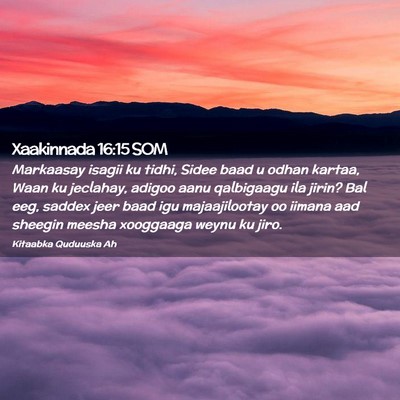Picture 02 - Xaakinnada 16:15 SOM - Markaasay isagii ku tidhi, Sidee baad u odhan - Bible Verse Picture