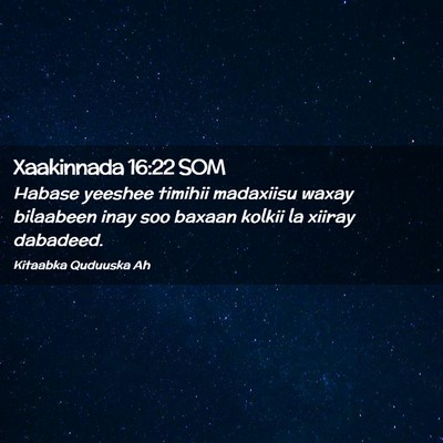 Picture 02 - Xaakinnada 16:22 SOM - Habase yeeshee timihii madaxiisu waxay bilaabeen - Bible Verse Picture