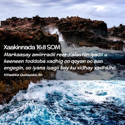 Picture 02 - Xaakinnada 16:8 SOM - Markaasay amiirradii reer Falastiin iyadii u - Bible Verse Picture