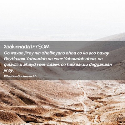 Picture 02 - Xaakinnada 17:7 SOM - Oo waxaa jiray nin dhallinyaro ahaa oo ka soo - Bible Verse Picture