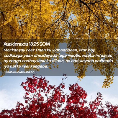 Picture 02 - Xaakinnada 18:25 SOM - Markaasay reer Daan ku yidhaahdeen, War hoy, - Bible Verse Picture