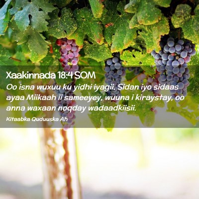 Picture 02 - Xaakinnada 18:4 SOM - Oo isna wuxuu ku yidhi iyagii, Sidan iyo sidaas - Bible Verse Picture